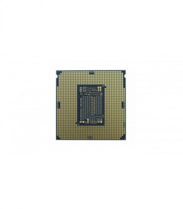 پردازنده تری اینتل مدل Celeron G5905 فرکانس 3.5 گیگاهرتز